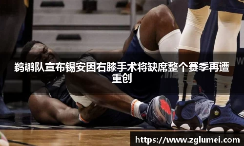 鹈鹕队宣布锡安因右膝手术将缺席整个赛季再遭重创